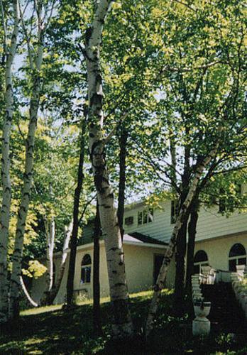 White Birch Inn Sturgeon Bay Exterior photo